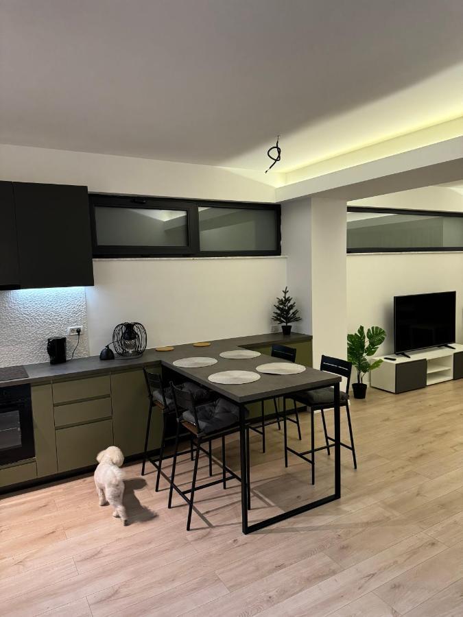 Warm Apartment Bucharest